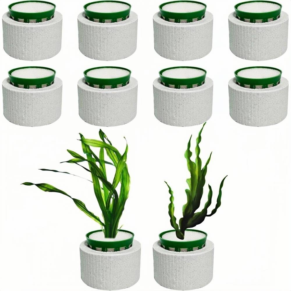 Anneau de Fixation pour Plantes Aquatiques DtopbuyAge - Image 1