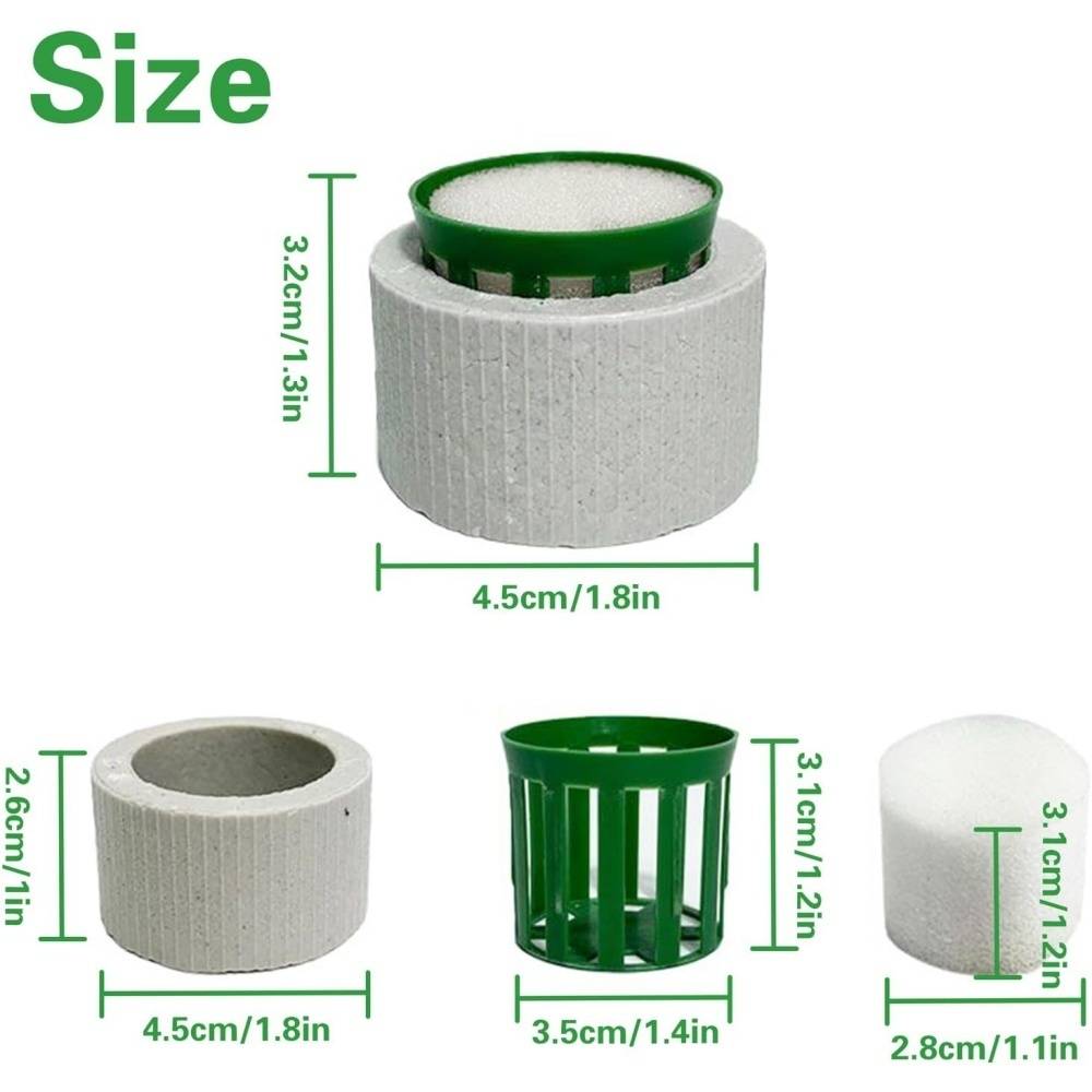 Anneau de Fixation pour Plantes Aquatiques DtopbuyAge - Image 5