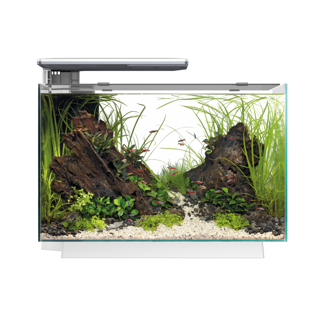 Superfish - Aquarium LED Quadro 70 Pro Blanc 55 x 35 x 45,7 cm - SUPERFISH