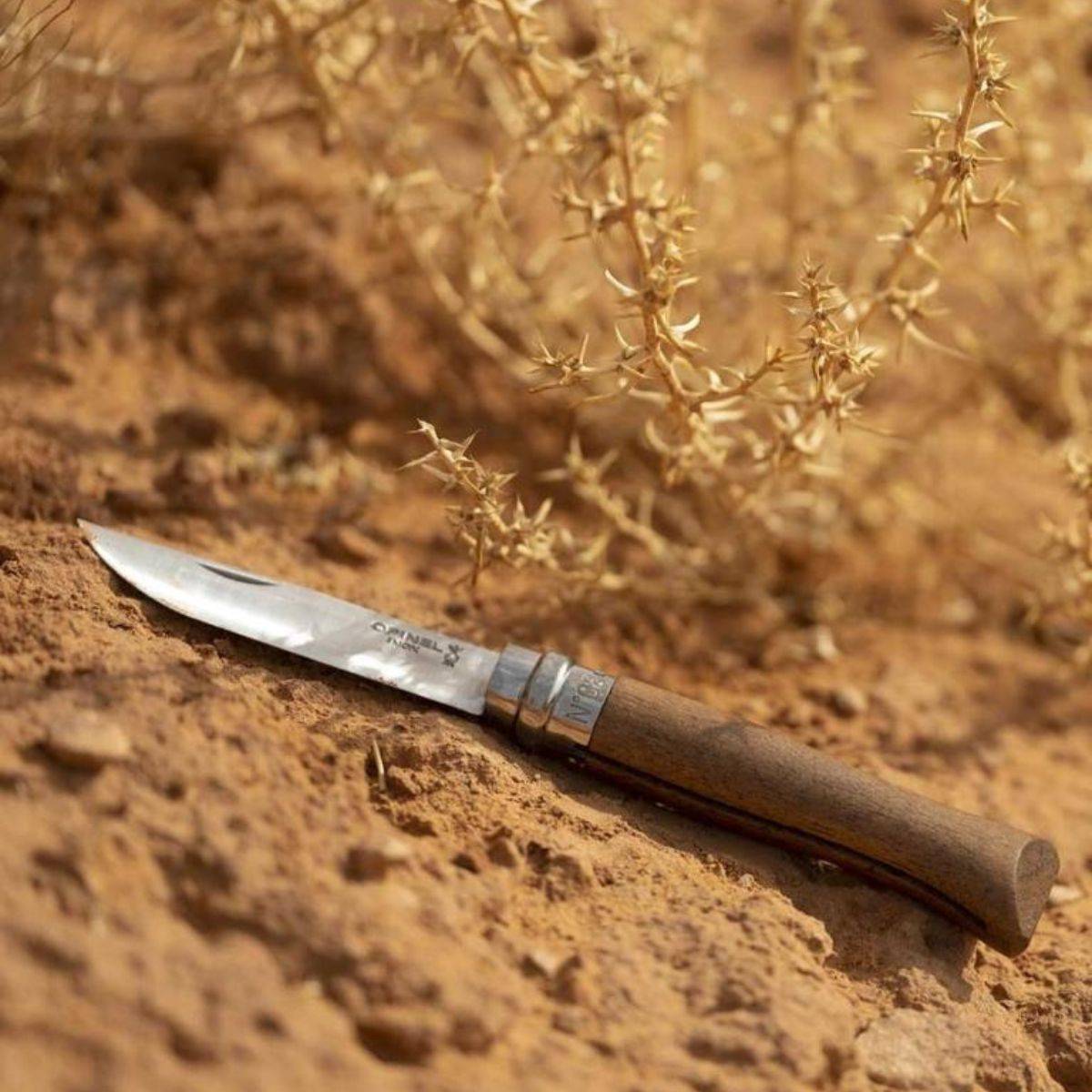 Opinel - Cuchillo n°8 en nogal con hoja de acero inoxidable 2022 - Imagen 3