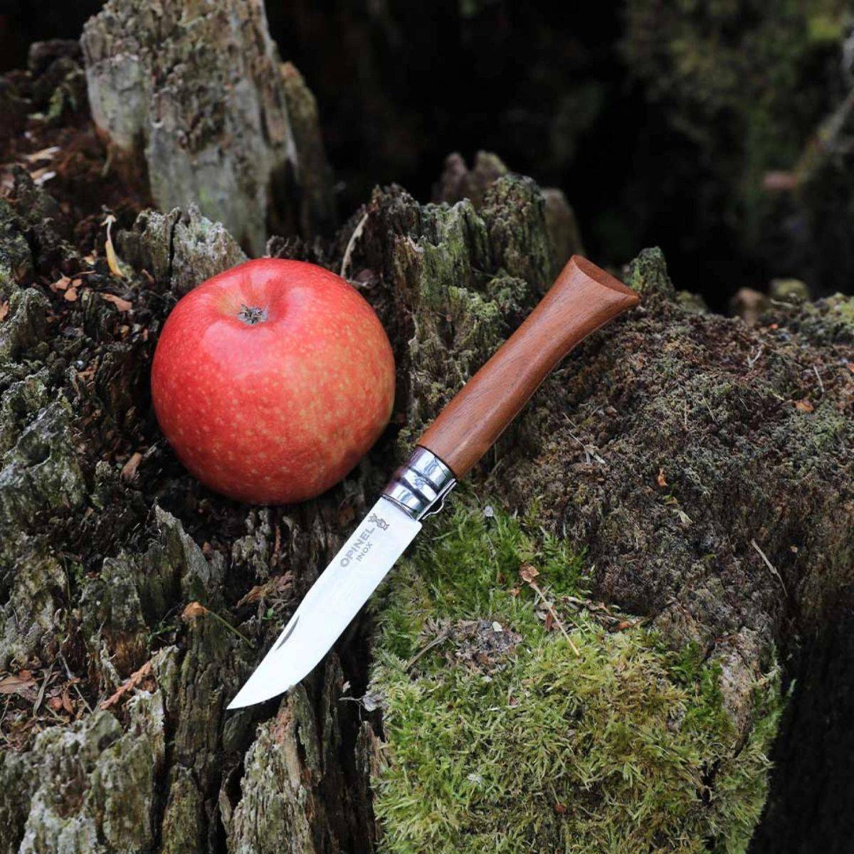 Opinel - Cuchillo n°8 en nogal con hoja de acero inoxidable 2022 - Imagen 5