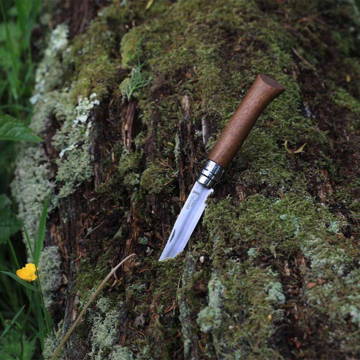 Opinel - Cuchillo n°8 en nogal con hoja de acero inoxidable 2022 - Imagen 4