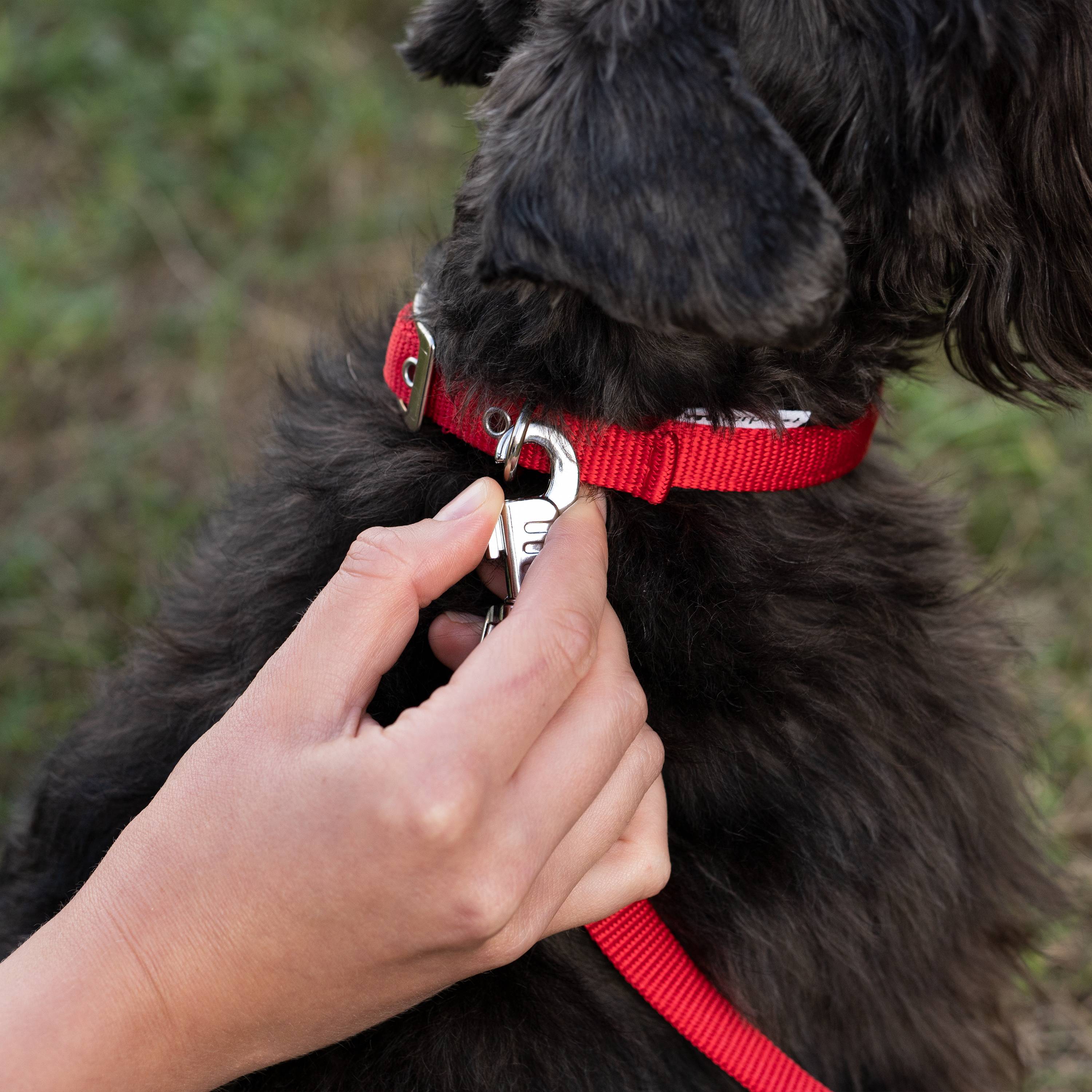 Ferplast - Collier chien chiens nylon souple rembourrage FERPLAST DAYTONA différentes tailles et couleurs - Imagen 4