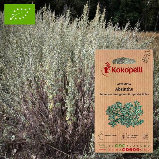 Association Kokopelli - Artemisia Absinthe- Graines bio à semer - Image 1
