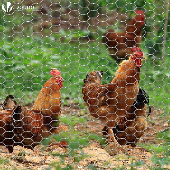 1x10m Grillage à Poule, Grillage Clôture Pour Jardin Poulailler Voliere Enclos, Mailles 27x27mm Argent 94416913 1x10m Grillage à Poule, Grillage Clôture Pour Jardin Poulailler Voliere Enclos, Mailles 27x27mm Argent 94416913