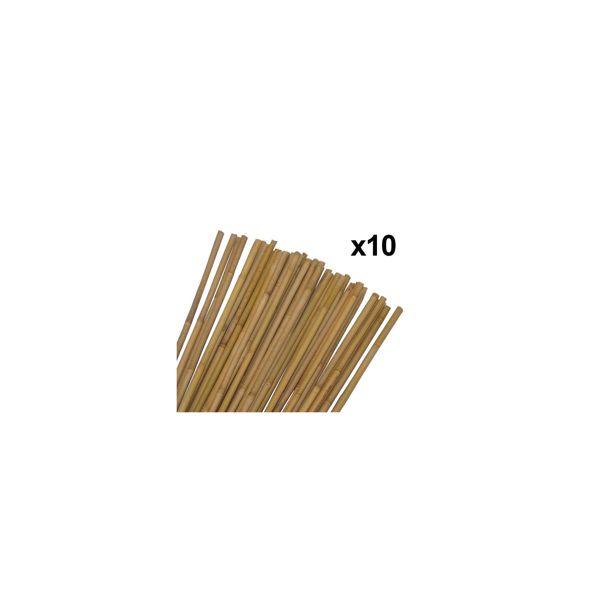 Sans Marque - Lot de 10 tuteurs pour plantes et légumes - En bambou - Hauteur : 90 cm - Imagen 3
