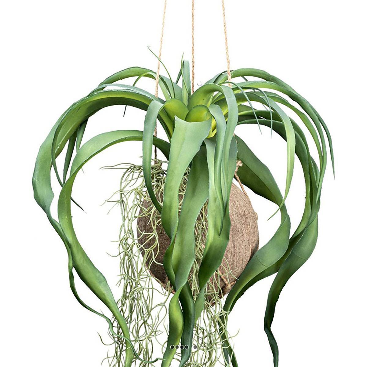 Artificielles - Kokedama artificiel original tillandsia sur coco L 63 cm - Imagen 3