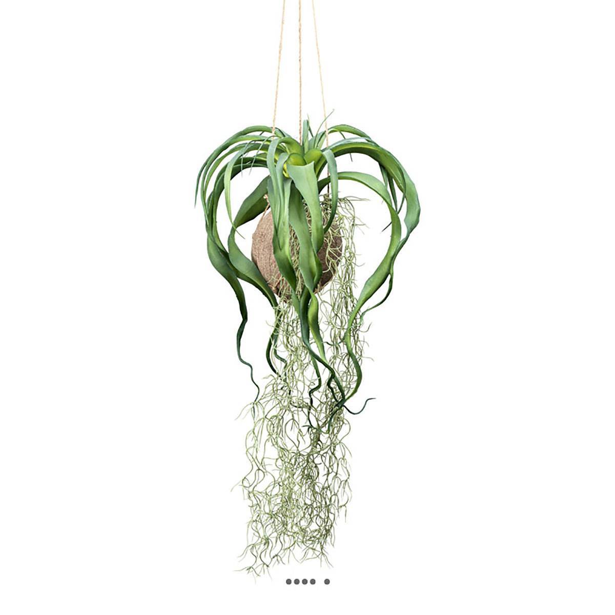 Artificielles - Kokedama artificiel original tillandsia sur coco L 63 cm - Imagen 1