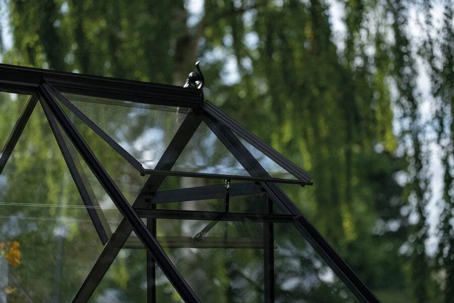 Halls - Serre en verre horticole 6,1 m² ICON 6, noir - Halls - Image 3