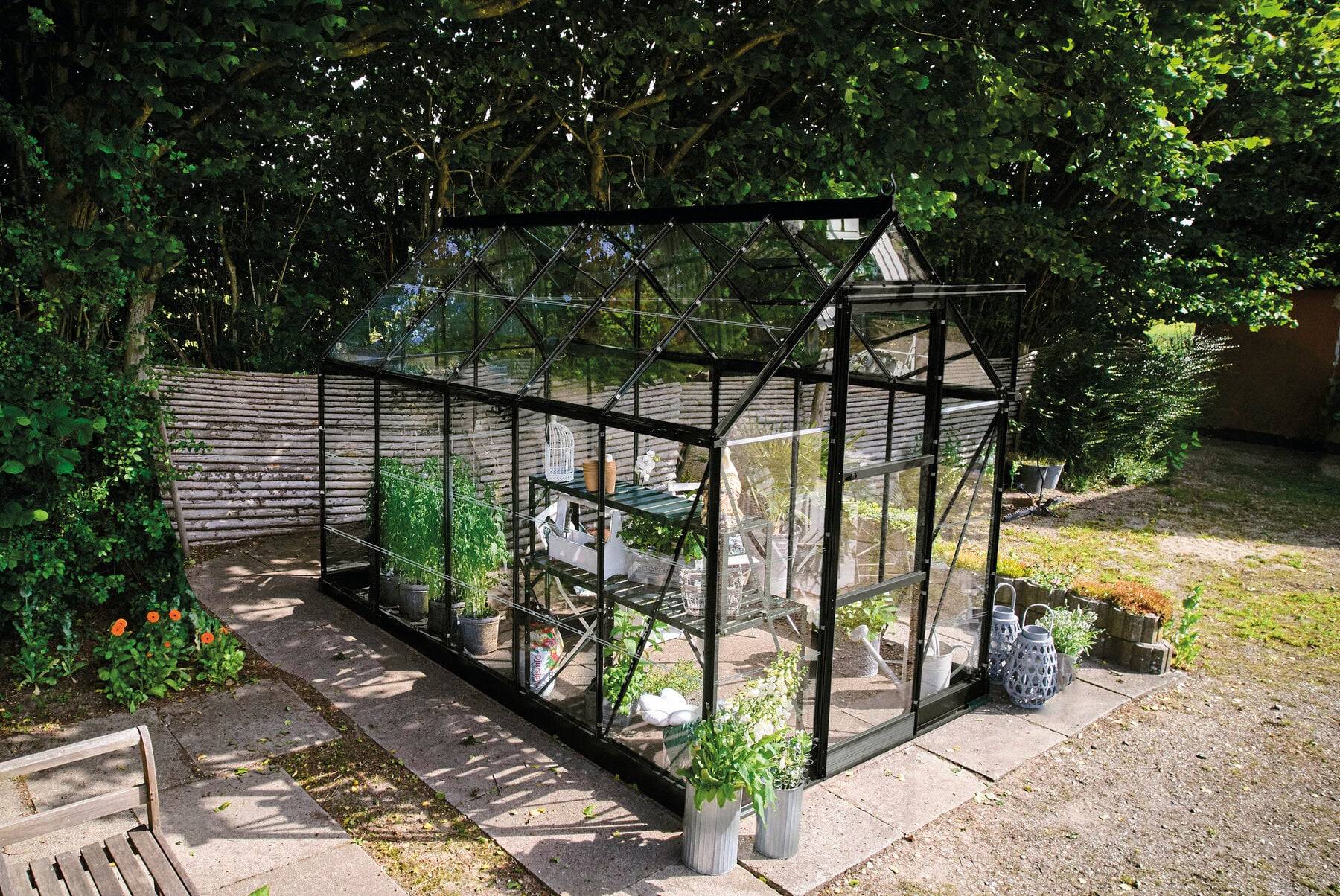 Halls - Serre en verre horticole 6,1 m² ICON 6, noir - Halls - Image 1
