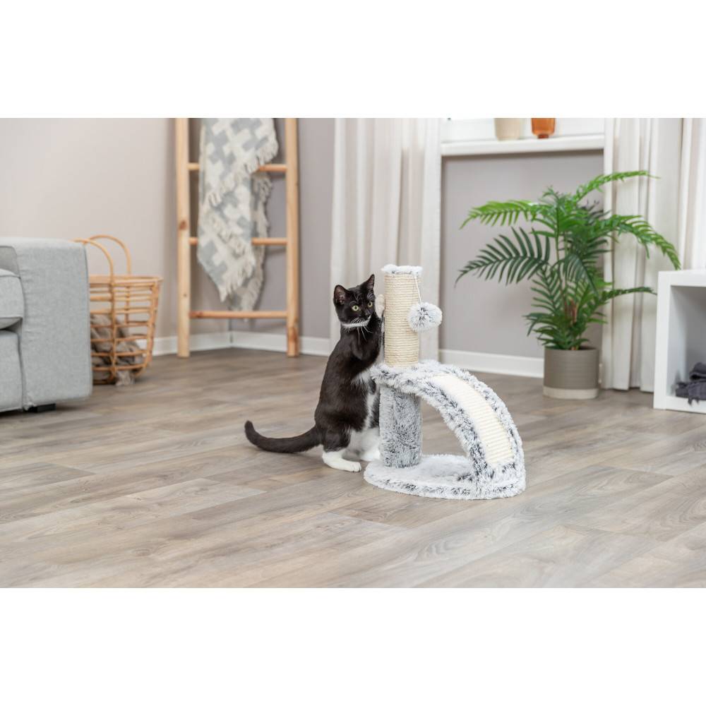 Trixie - Poteau griffoir Winnie 25 × 35 cm, Hauteur : 43 cm pour chaton - Image 3