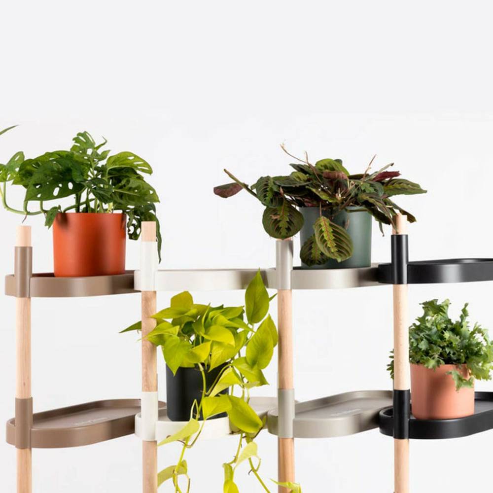 Étagère CitySens pour plantes noire à 6 plateaux - Image 3