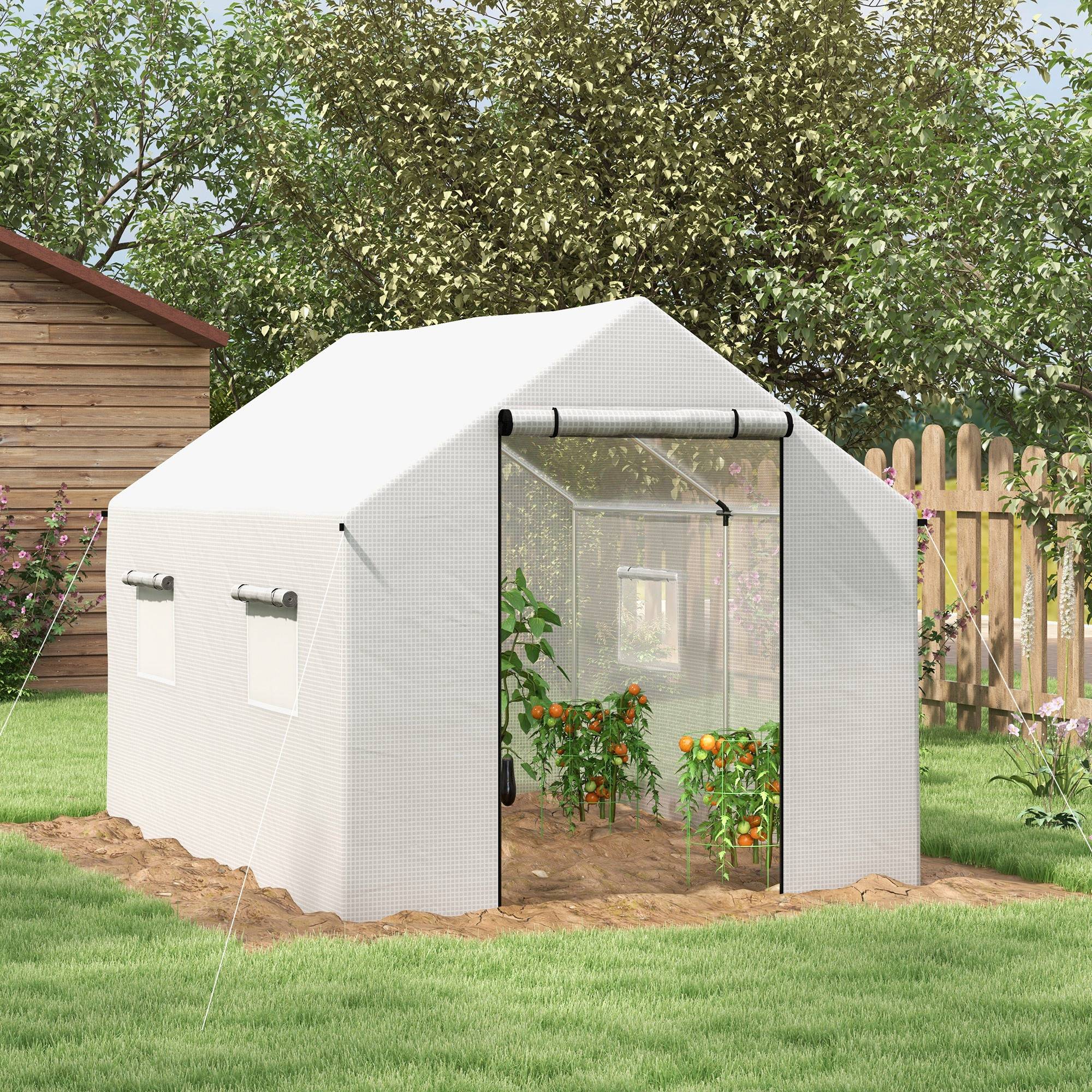 ComfortXL - Serre de Jardin Tunnel 6m² Acier Galvanisé et Bâche PE Blanche 3x2x2m - ComfortXL Outdoor Living - Image 3