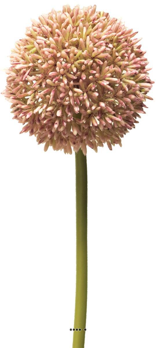 Artificielles - Allium artificiel en tige, spécial grande taille, H 68 cm Rose - BEST - couleur: Rose - Imagen 2