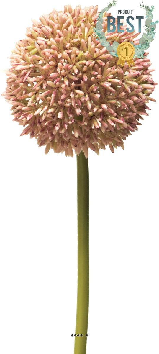 Artificielles - Allium artificiel en tige, spécial grande taille, H 68 cm Rose - BEST - couleur: Rose - Imagen 1