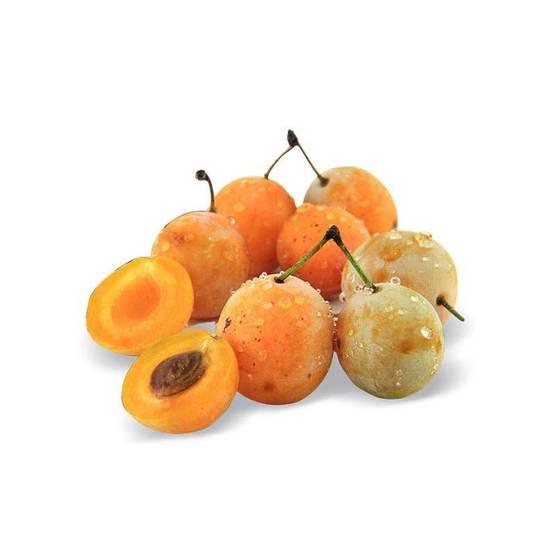 Prunier nain Prunélla - Nains de jardins® - Bon rendement - Pot de 5L - 40/80 cm - De 1,50 m à 2,00 m - Image 1