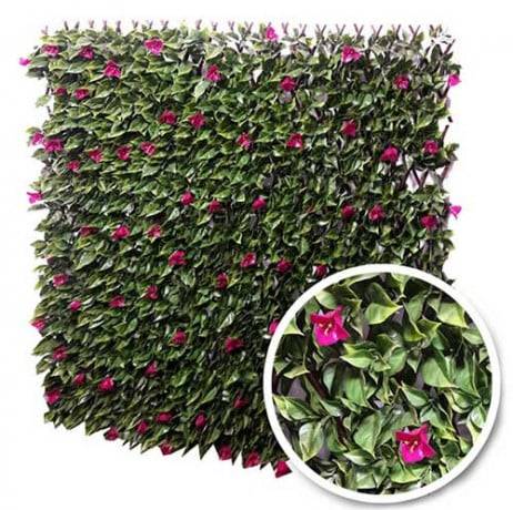 James Grass - France Green - Treillis extensible feuillage bougainvilliers, Long 30 m, Hauteur 1 m - Imagen 1