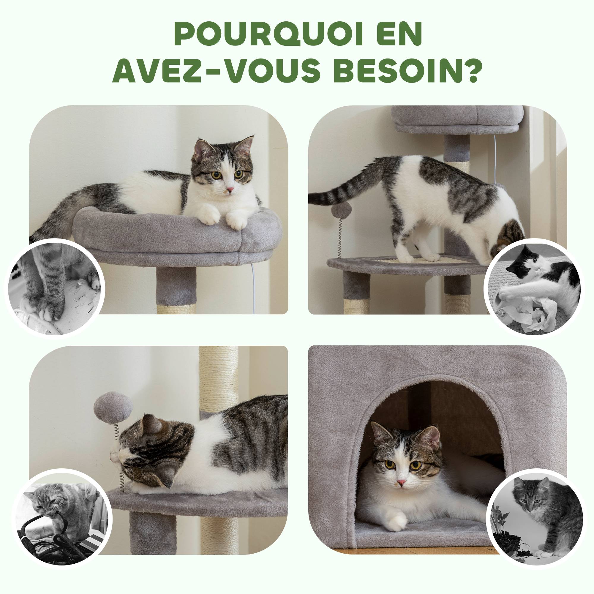 Arbre à chat sisal et peluche gris clair 49 x 49 x 114 cm - PANGIVO - Image 10