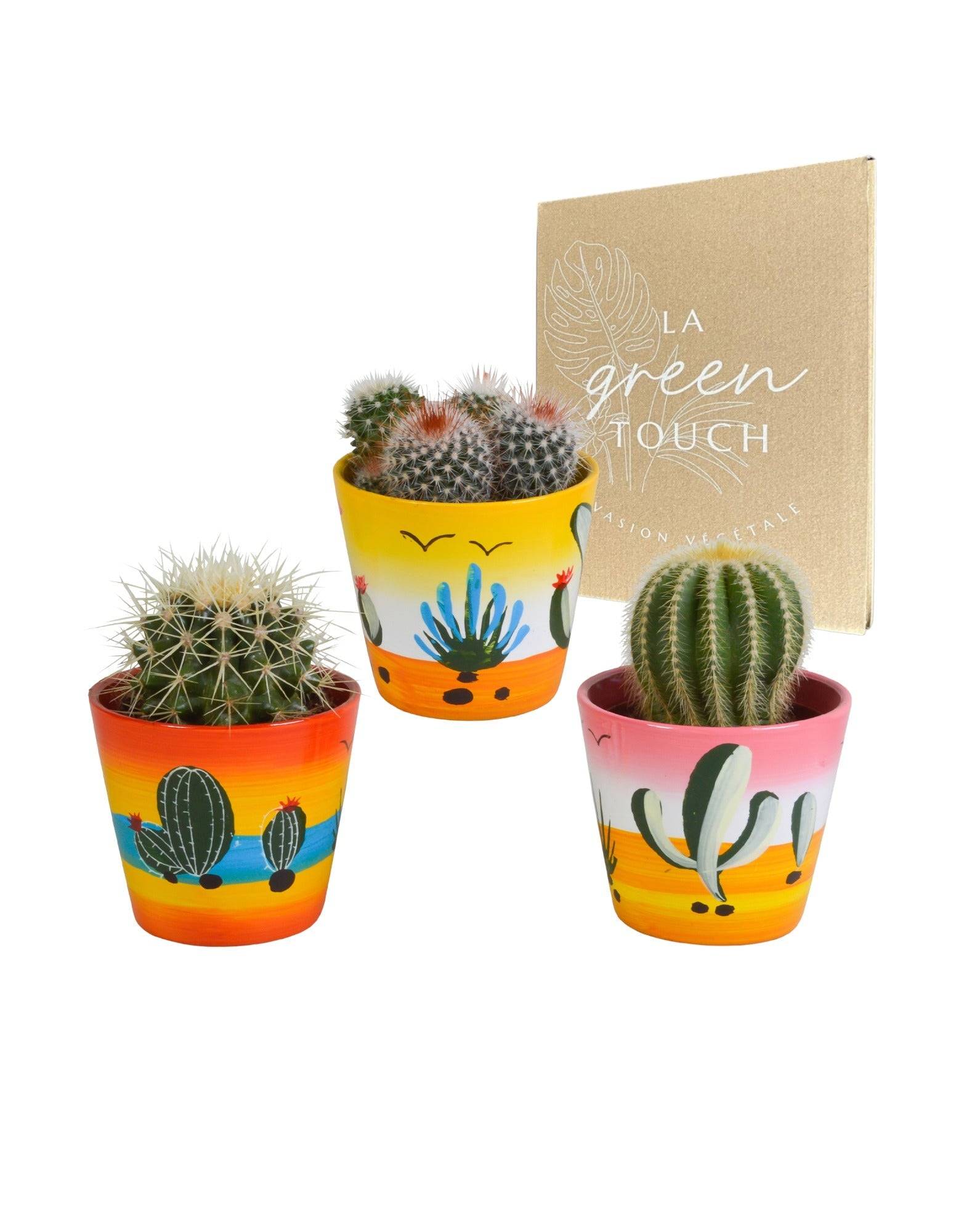 La Green Touch - Trio de Cactus- La Green Touch - Imagen 1