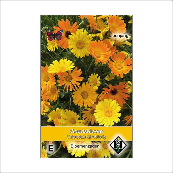 Graines de Calendula officinalis Simplicity - Souci des Jardins le sachet de 150 graines environ (1g)