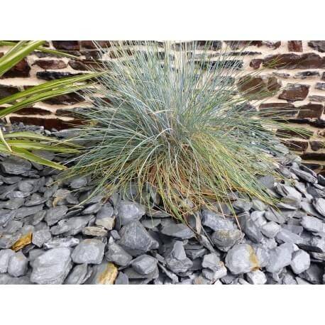 Paillage Ardoise GRIS 30-60 Pack 17 m² - 40 sacs - 1000 kg - Image 3