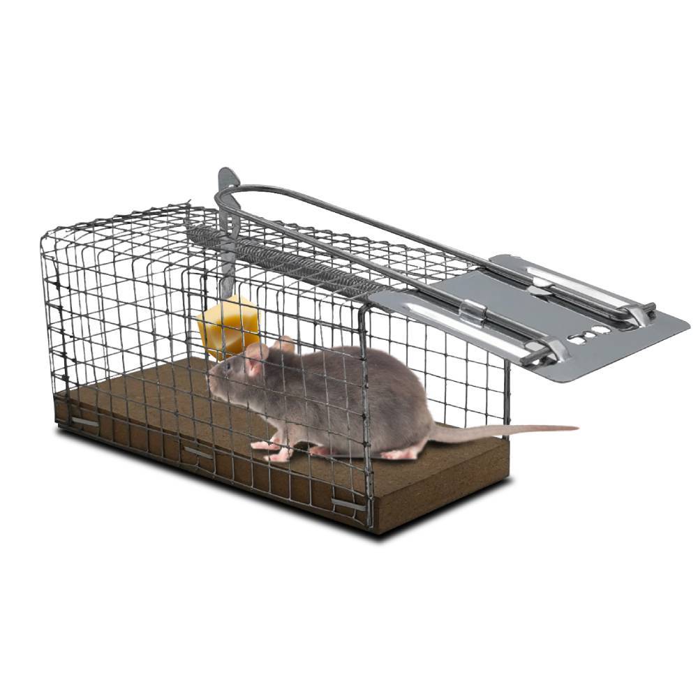 Nasse / piège à souris - Image 1