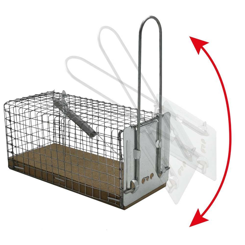 Nasse / piège à souris - Image 4
