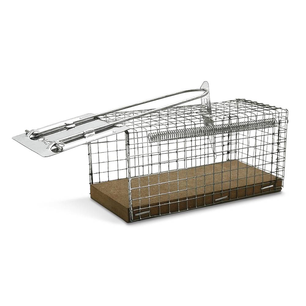 Nasse / piège à souris - Image 3
