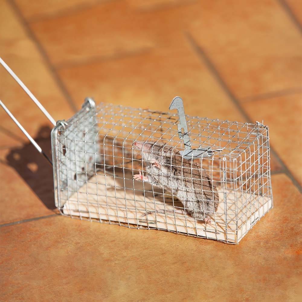 Nasse / piège à souris - Image 5