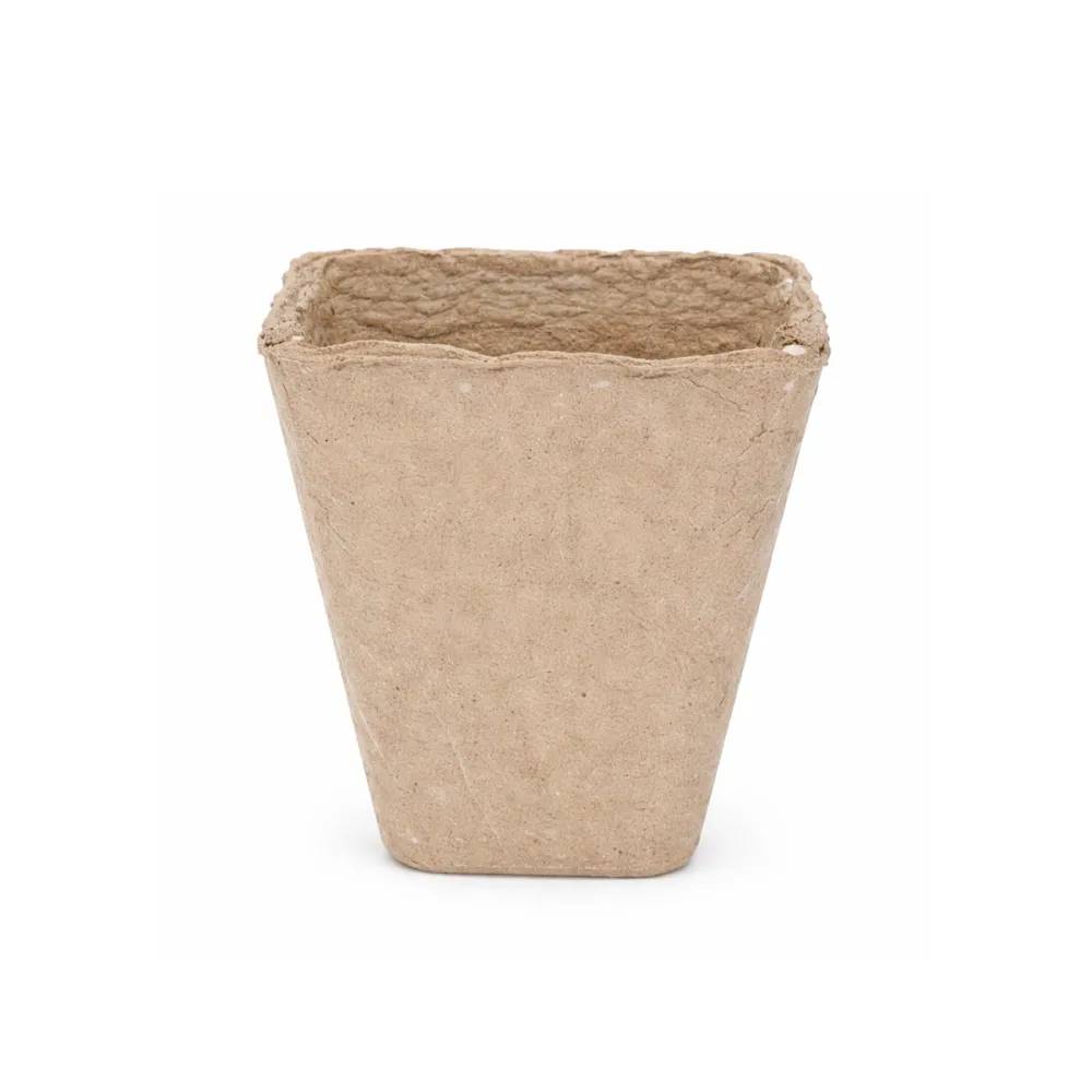 24 Pots Biodégradables Carrés 8 cm pour Semis - Image 4