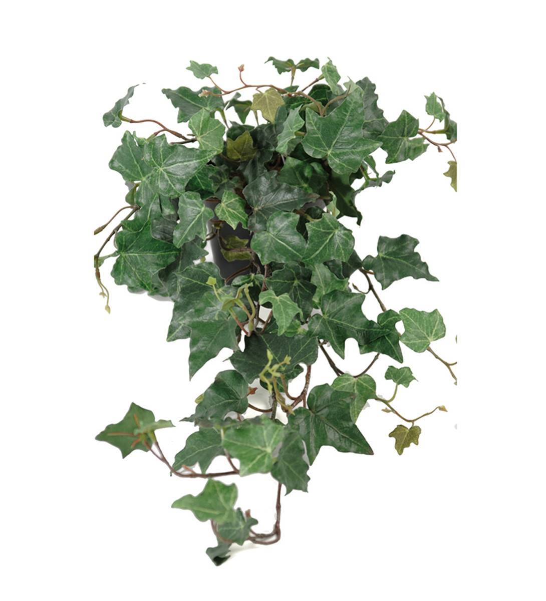 Artificielles - Lierre arborescent artificiel en pot, H 55 cm, D 35 cm - Imagen 1