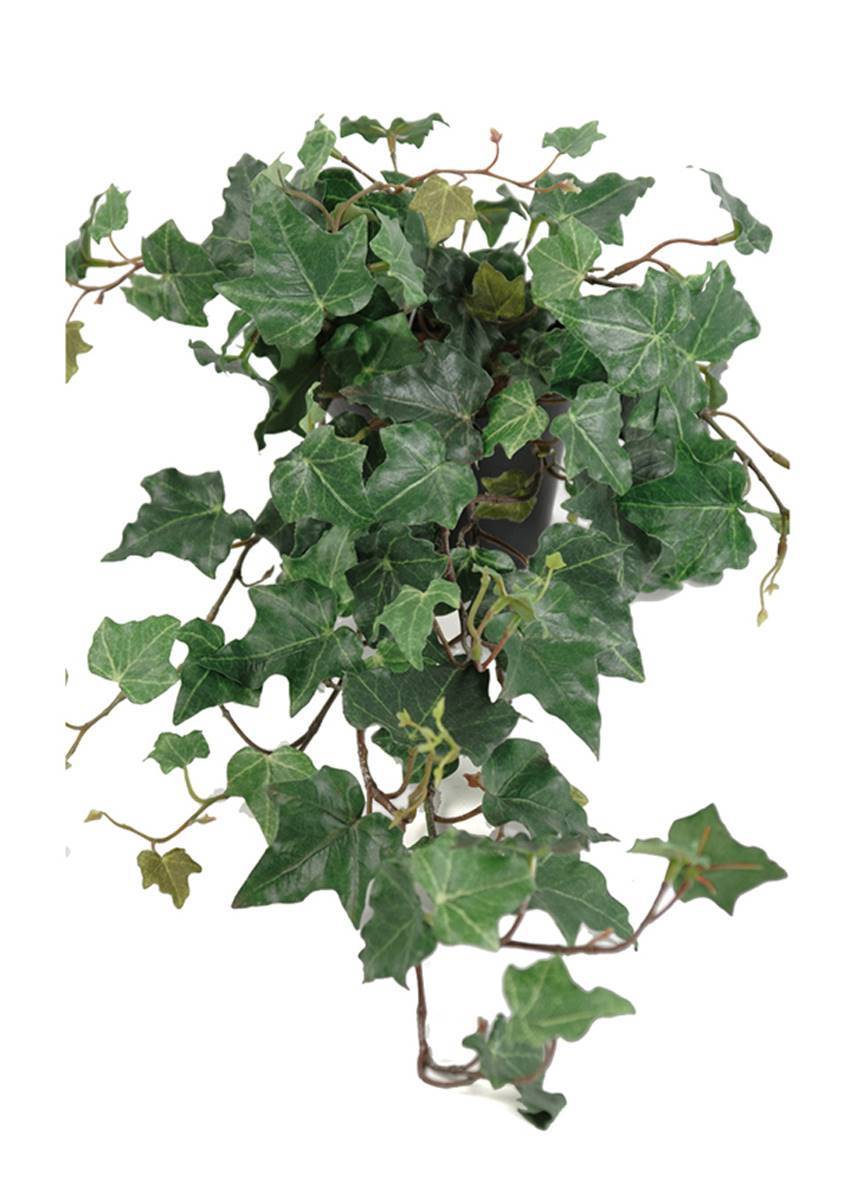 Artificielles - Lierre arborescent artificiel en pot, H 55 cm, D 35 cm - Imagen 2