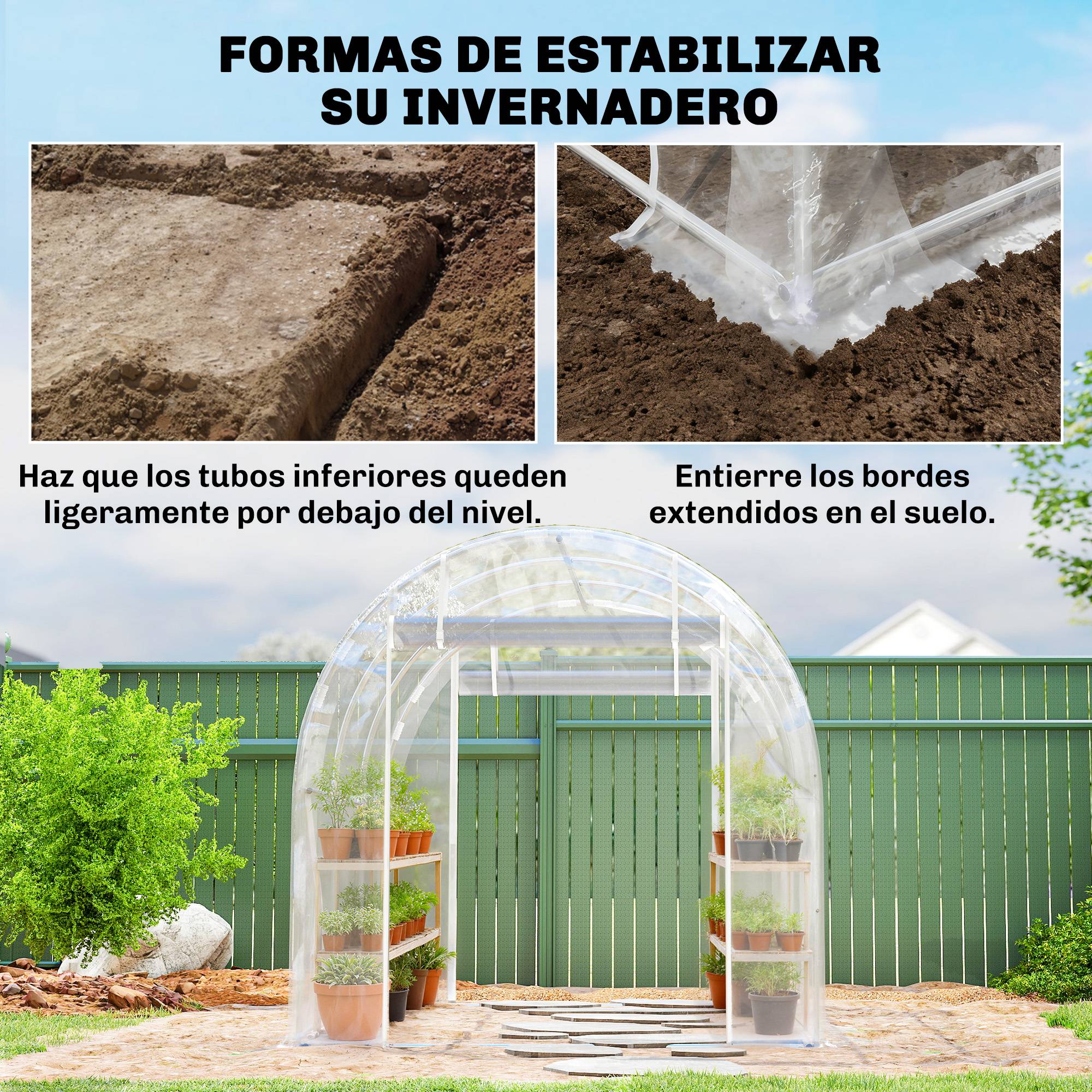 Serre tunnel 3 x 2 x 2 m avec 2 portes enroulables, structure en acier galvanisé, bâche transparente anti-UV en polyéthylène. - Image 9