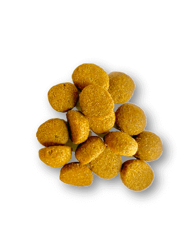 Croquettes chaton holistic sans céréales - Dinde et poulet - 5 Kg - Image 3