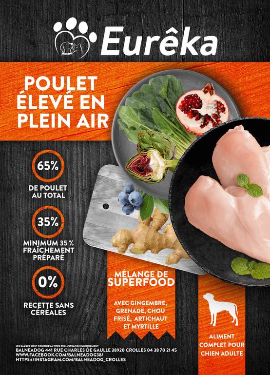 Croquettes chien adulte holistic sans céréales - Poulet élevé en plein air - 2 Kg - Image 2