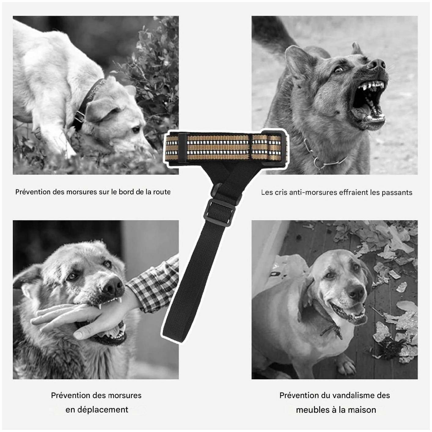 Lytech - Muselière confortable pour chien kaki taille M ajustable - Lytech - Image 3
