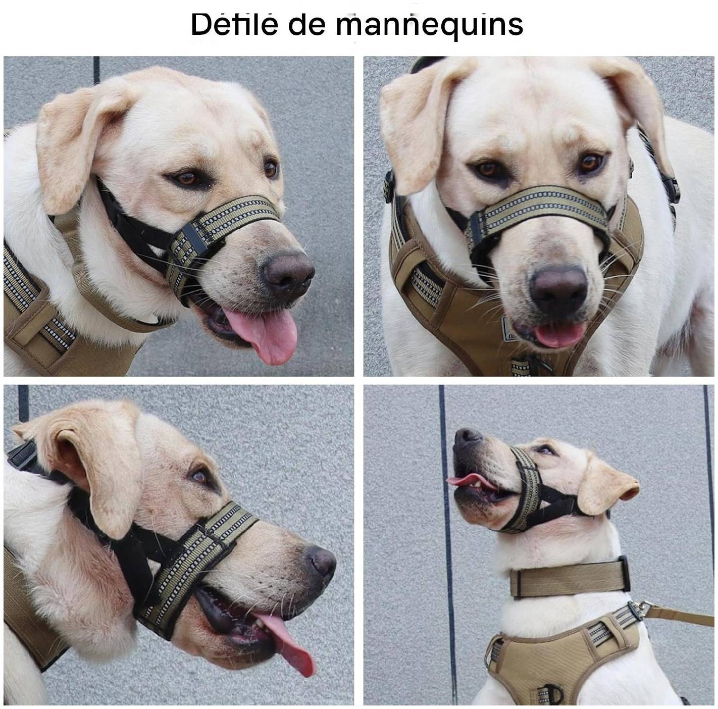 Lytech - Muselière confortable pour chien kaki taille M ajustable - Lytech - Image 5