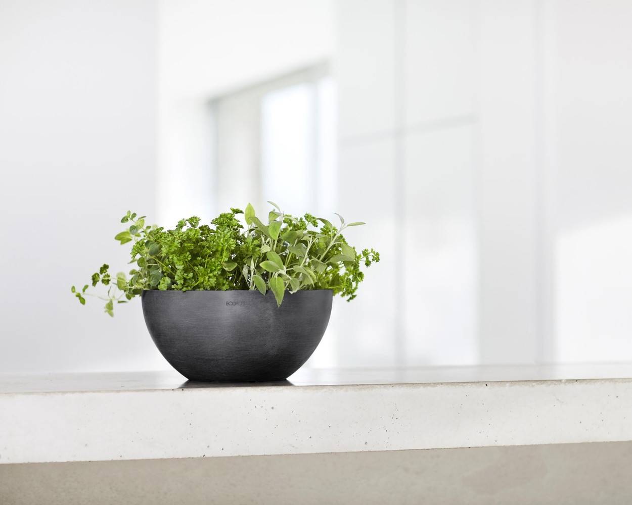 Ecopots - Pot Rond Brussels 25 Gris Foncé - Ø 25 x H. 12 cm - 3,6 L ECOPOTS - Imagen 5