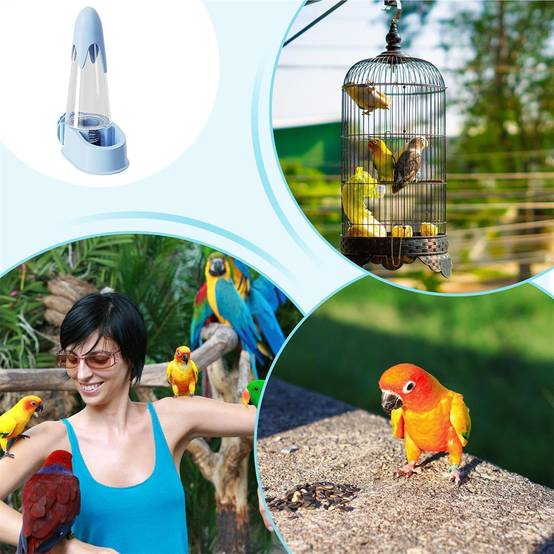 Dispositif d'alimentation pour oiseaux DtopbuyAge - Image 5
