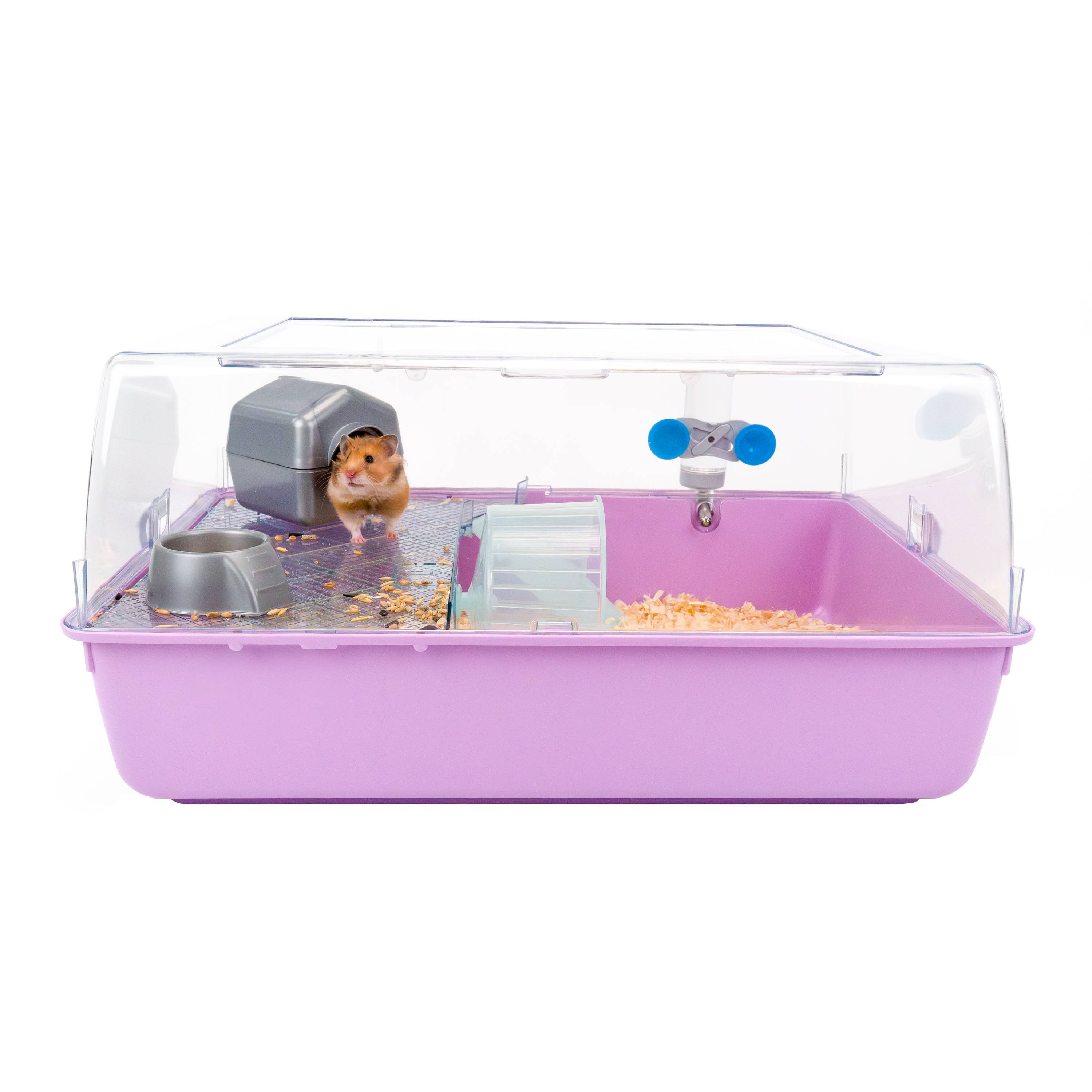 Ferplast - FERPLAST MINI DUNA HAMSTER Cage pour Rongeurs pour Hamsters, Souris, en Plastique, Accessoires inclus : Mangeoire, Abreuvoir, Étagère, Maison, - Imagen 3