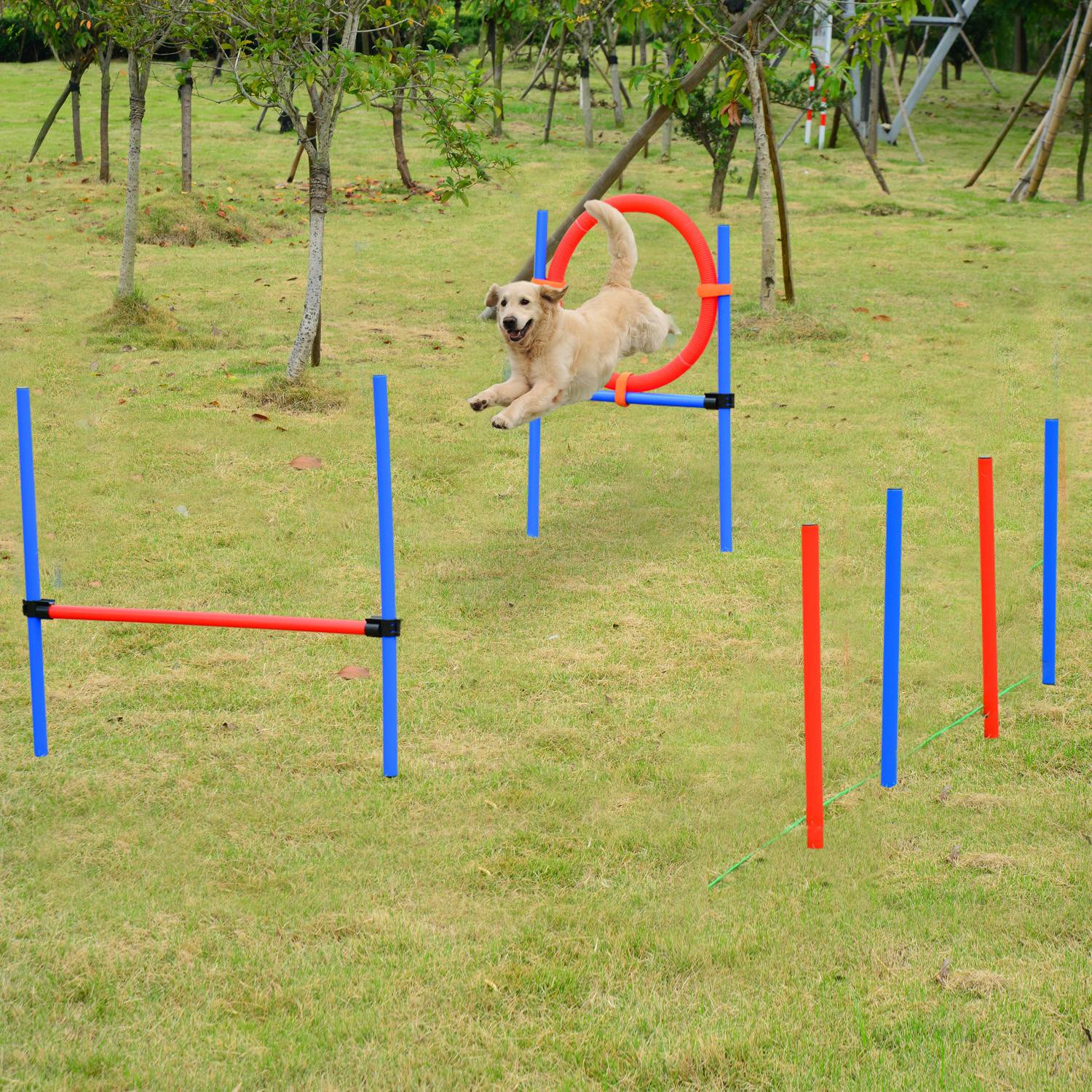 Parcours d'agility pour chien acier rouge et bleu 95 x 15 x 60 cm - PANGIVO - Image 3