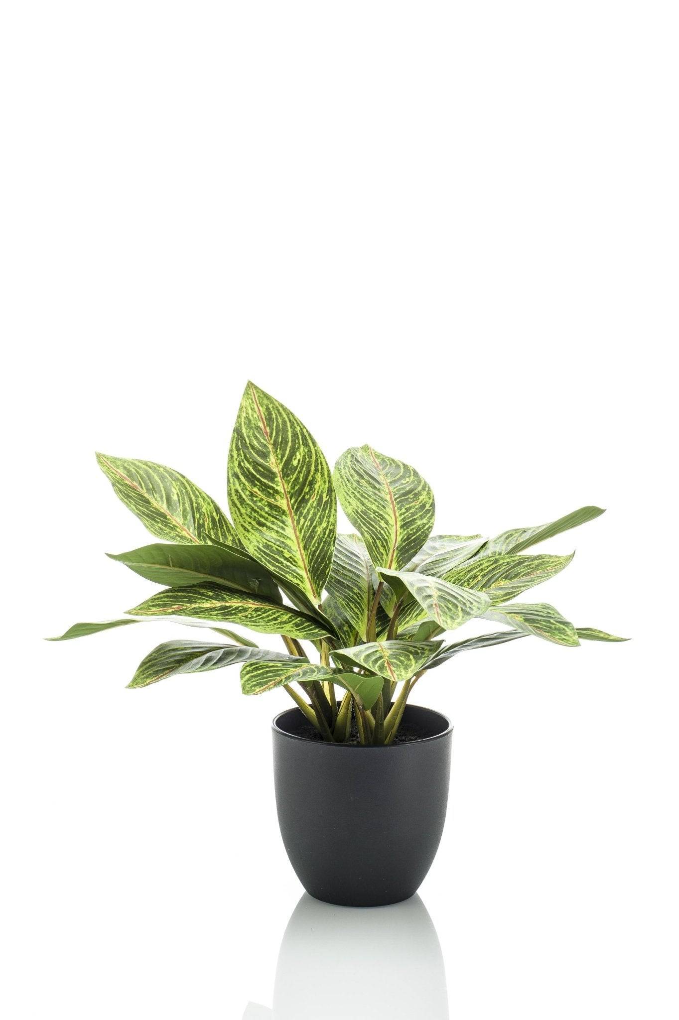 La Green Touch - Croton Codiaeum plante artificielle - h38cm, Ø15cm- La Green Touch - Imagen 1