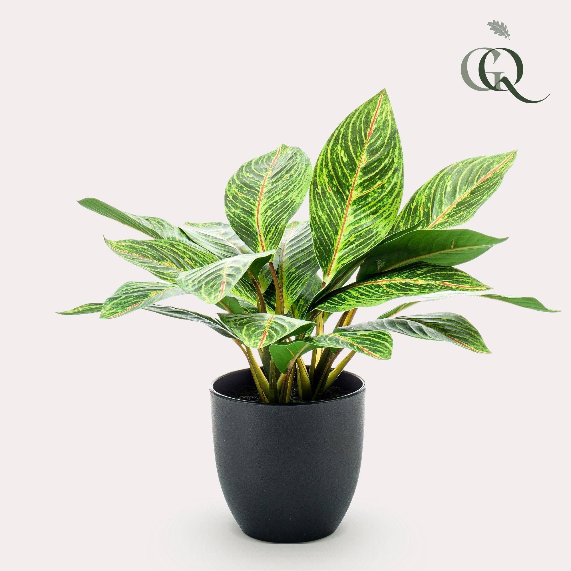 La Green Touch - Croton Codiaeum plante artificielle - h38cm, Ø15cm- La Green Touch - Imagen 2