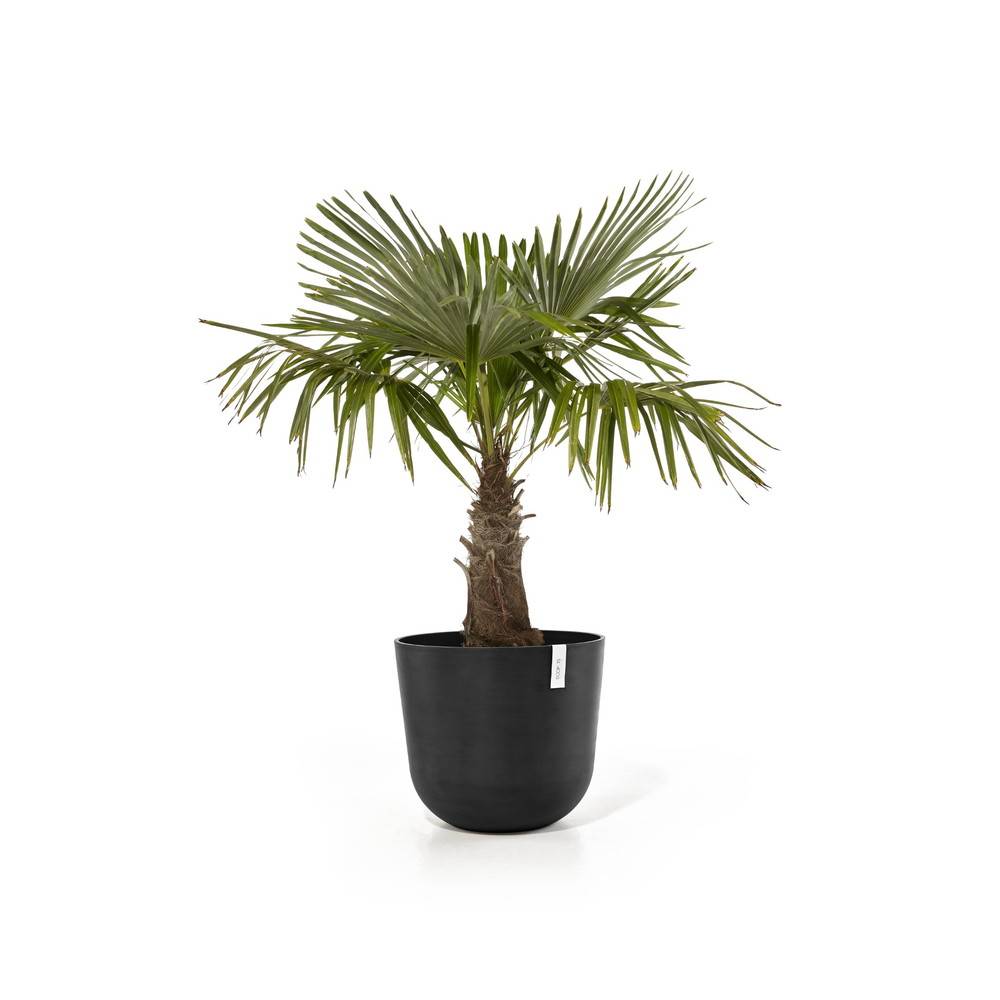 Ecopots - Pot Rond Oslo 55 Gris Foncé + réservoir d'eau - Ø 55 x H. 47,9 cm - 85,6 L ECOPOTS