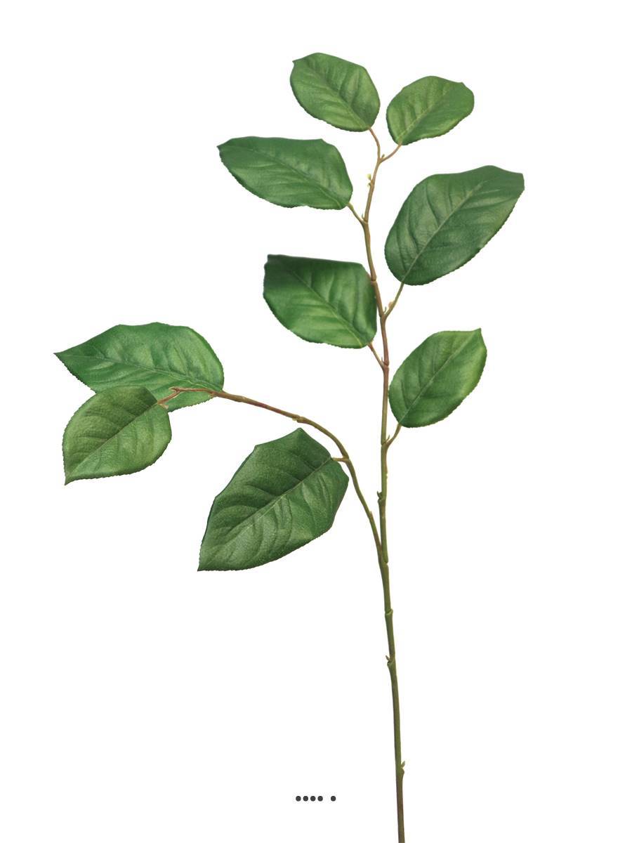 Artificielles - Branche de Gaultheria Shallon artificielle, H 77 cm - BEST - Imagen 3