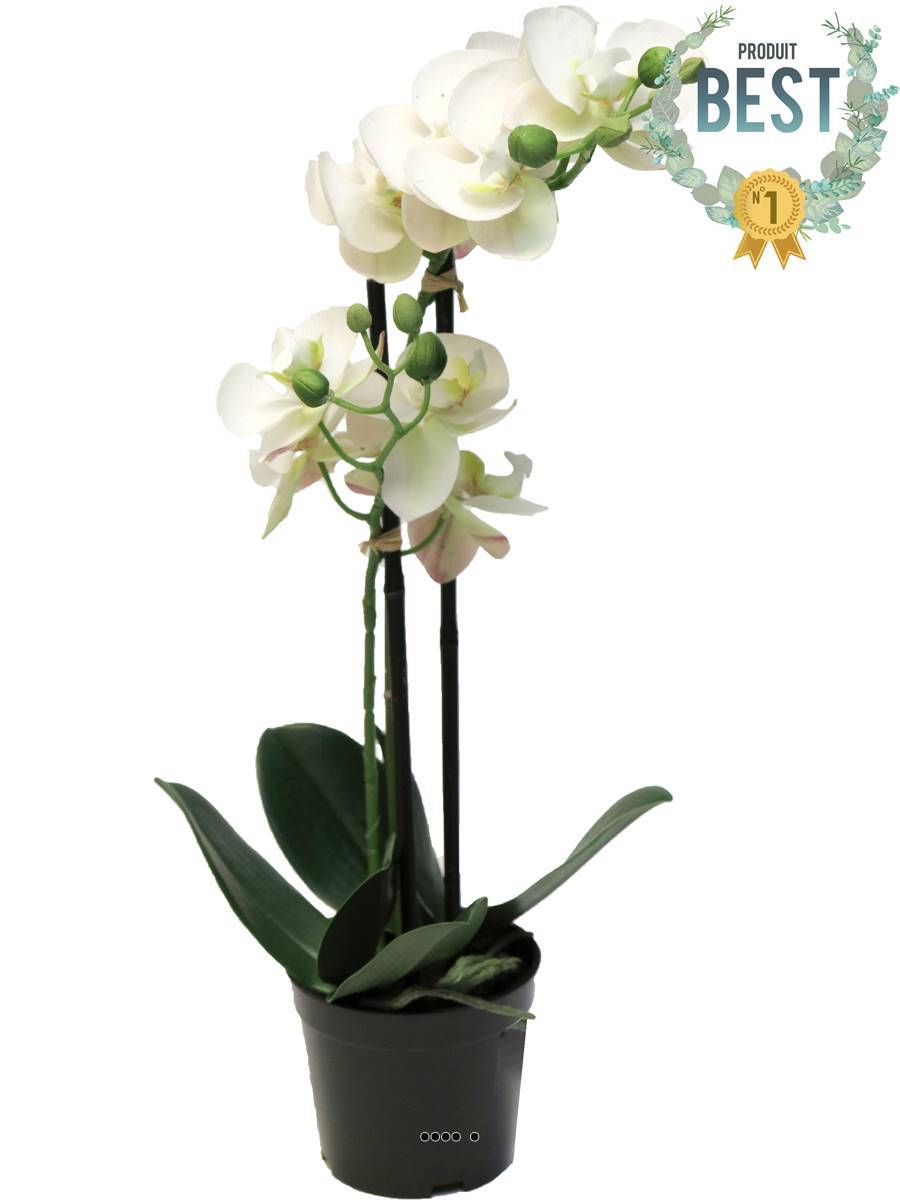 Artificielles - Orchidée Phalaenopsis factice en pot qualité déco H50cm Crème - BEST - dimhaut: H 50 cm - couleur: Crème - Imagen 1