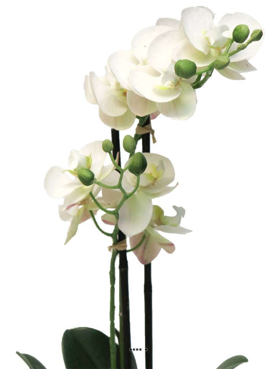 Artificielles - Orchidée Phalaenopsis factice en pot qualité déco H50cm Crème - BEST - dimhaut: H 50 cm - couleur: Crème - Imagen 3