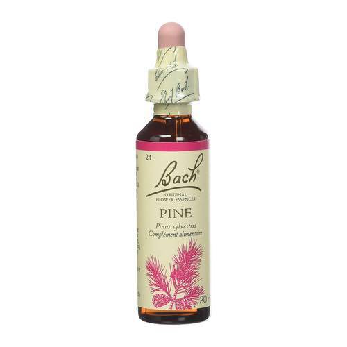 Pine -  Fleurs de Bach n°24 Fleur de Bach