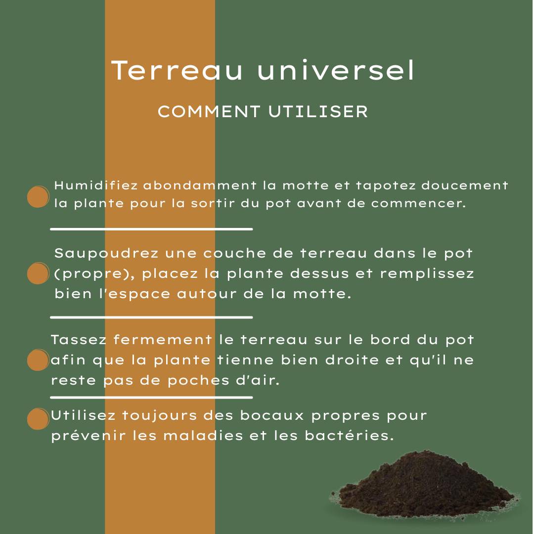 PANGIVO - Terreau universel tourbe marron 30 L - PANGIVO - Image 8