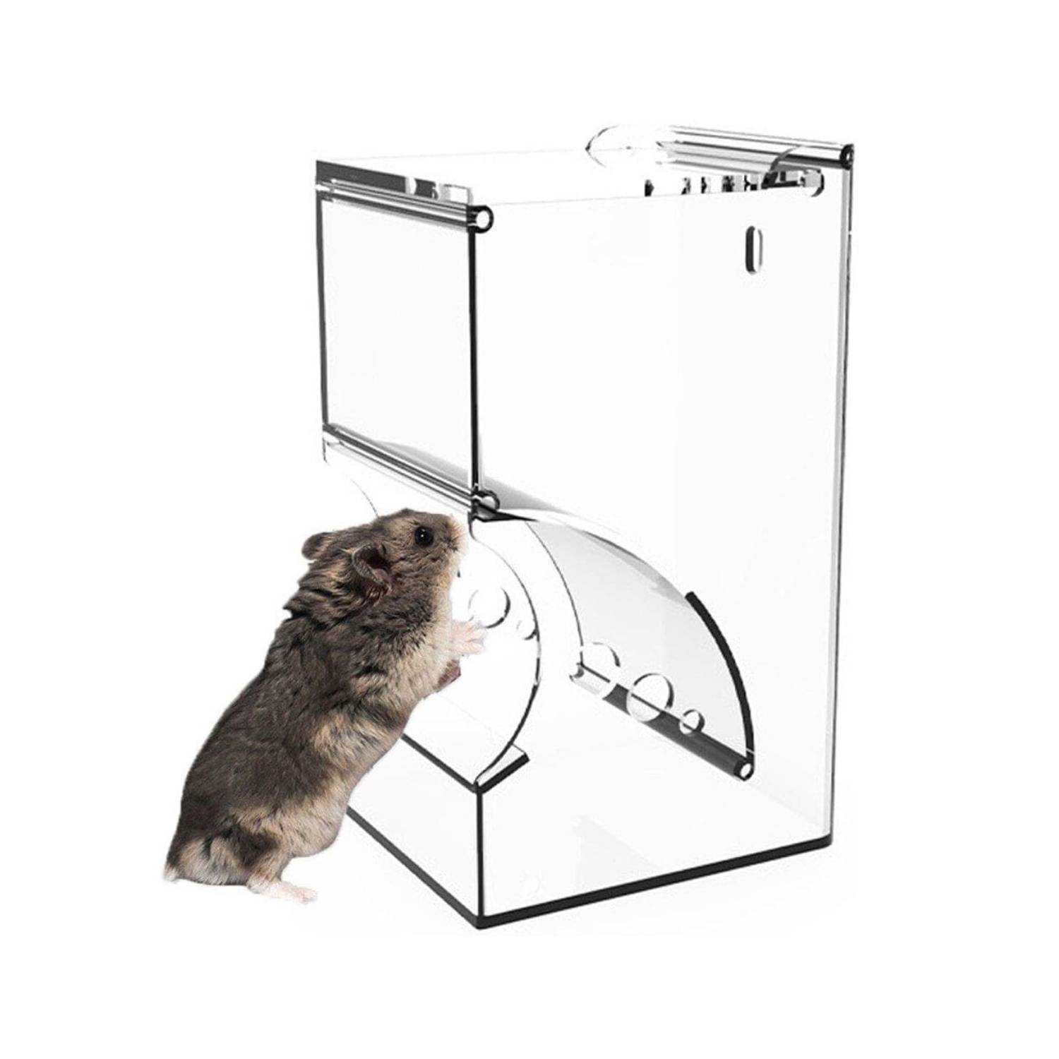 DtopbuyAge - Distributeur Nourriture Automatique - Petits Animaux DtopbuyAge - Image 1
